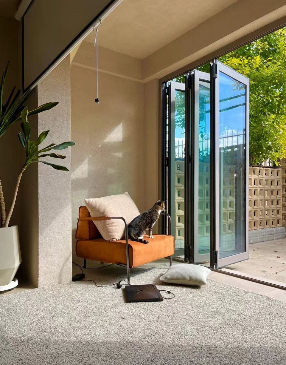 Cat sitting on an ochre chair beside open bi-folding glass doors in a sunlit living space